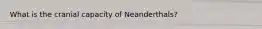 What is the cranial capacity of Neanderthals?