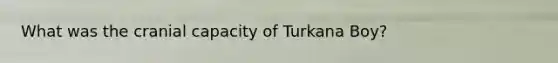 What was the cranial capacity of Turkana Boy?