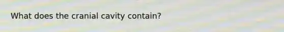 What does the cranial cavity contain?