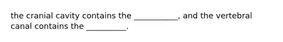 the cranial cavity contains the ___________, and the vertebral canal contains the __________.