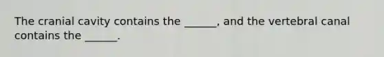 The cranial cavity contains the ______, and the vertebral canal contains the ______.