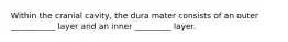 Within the cranial cavity, the dura mater consists of an outer ___________ layer and an inner _________ layer.