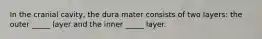 In the cranial cavity, the dura mater consists of two layers: the outer _____ layer and the inner _____ layer.