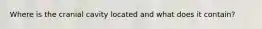 Where is the cranial cavity located and what does it contain?