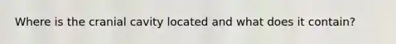 Where is the cranial cavity located and what does it contain?