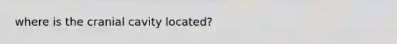 where is the cranial cavity located?