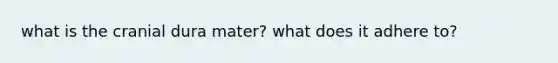what is the cranial dura mater? what does it adhere to?