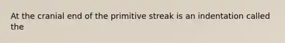 At the cranial end of the primitive streak is an indentation called the