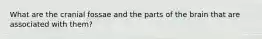 What are the cranial fossae and the parts of the brain that are associated with them?
