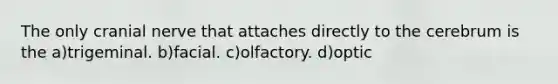 The only cranial nerve that attaches directly to the cerebrum is the a)trigeminal. b)facial. c)olfactory. d)optic