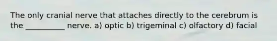 The only cranial nerve that attaches directly to the cerebrum is the __________ nerve. a) optic b) trigeminal c) olfactory d) facial