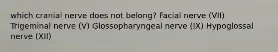 which cranial nerve does not belong? Facial nerve (VII) Trigeminal nerve (V) Glossopharyngeal nerve (IX) Hypoglossal nerve (XII)