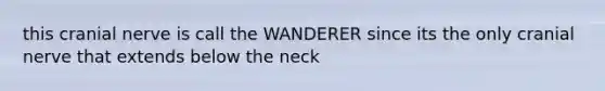 this cranial nerve is call the WANDERER since its the only cranial nerve that extends below the neck