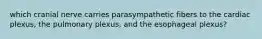 which cranial nerve carries parasympathetic fibers to the cardiac plexus, the pulmonary plexus, and the esophageal plexus?