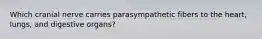 Which cranial nerve carries parasympathetic fibers to the heart, lungs, and digestive organs?