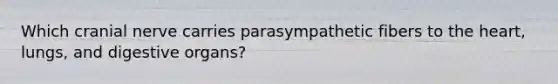 Which cranial nerve carries parasympathetic fibers to the heart, lungs, and digestive organs?