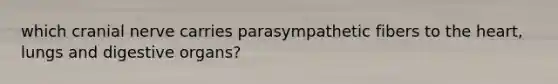 which cranial nerve carries parasympathetic fibers to the heart, lungs and digestive organs?