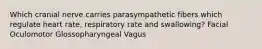 Which cranial nerve carries parasympathetic fibers which regulate heart rate, respiratory rate and swallowing? Facial Oculomotor Glossopharyngeal Vagus