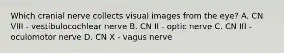 Which cranial nerve collects visual images from the eye? A. CN VIII - vestibulocochlear nerve B. CN II - optic nerve C. CN III - oculomotor nerve D. CN X - vagus nerve