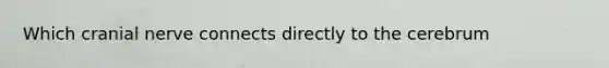 Which cranial nerve connects directly to the cerebrum