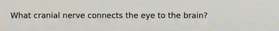 What cranial nerve connects the eye to the brain?