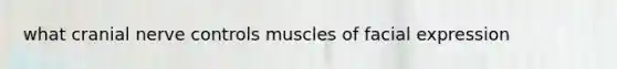 what cranial nerve controls muscles of facial expression