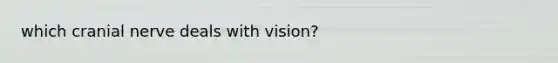 which cranial nerve deals with vision?