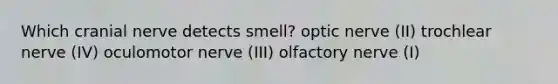 Which cranial nerve detects smell? optic nerve (II) trochlear nerve (IV) oculomotor nerve (III) olfactory nerve (I)