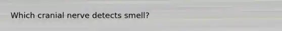 Which cranial nerve detects smell?