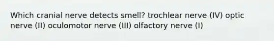 Which cranial nerve detects smell? trochlear nerve (IV) optic nerve (II) oculomotor nerve (III) olfactory nerve (I)