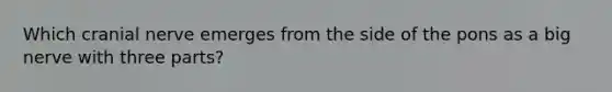 Which cranial nerve emerges from the side of the pons as a big nerve with three parts?