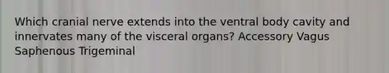 Which cranial nerve extends into the ventral body cavity and innervates many of the visceral organs? Accessory Vagus Saphenous Trigeminal