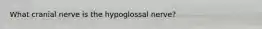What cranial nerve is the hypoglossal nerve?