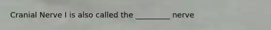Cranial Nerve I is also called the _________ nerve