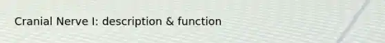 Cranial Nerve I: description & function