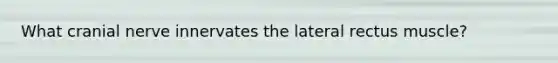 What cranial nerve innervates the lateral rectus muscle?