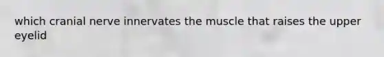 which cranial nerve innervates the muscle that raises the upper eyelid
