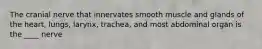 The cranial nerve that innervates smooth muscle and glands of the heart, lungs, larynx, trachea, and most abdominal organ is the ____ nerve