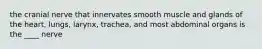 the cranial nerve that innervates smooth muscle and glands of the heart, lungs, larynx, trachea, and most abdominal organs is the ____ nerve