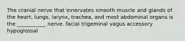 The cranial nerve that innervates smooth muscle and glands of the heart, lungs, larynx, trachea, and most abdominal organs is the ___________ nerve. facial trigeminal vagus accessory hypoglossal