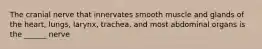 The cranial nerve that innervates smooth muscle and glands of the heart, lungs, larynx, trachea, and most abdominal organs is the ______ nerve