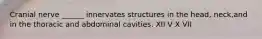 Cranial nerve ______ innervates structures in the head, neck,and in the thoracic and abdominal cavities. XII V X VII