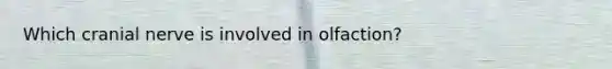 Which cranial nerve is involved in olfaction?