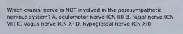 Which cranial nerve is NOT involved in the parasympathetic nervous system? A. oculomotor nerve (CN III) B. facial nerve (CN VII) C. vagus nerve (CN X) D. hypoglossal nerve (CN XII)