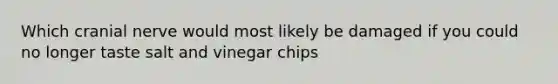 Which cranial nerve would most likely be damaged if you could no longer taste salt and vinegar chips