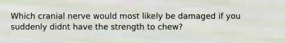 Which cranial nerve would most likely be damaged if you suddenly didnt have the strength to chew?