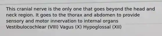 This cranial nerve is the only one that goes beyond the head and neck region. It goes to the thorax and abdomen to provide sensory and motor innervation to internal organs Vestibulocochlear (VIII) Vagus (X) Hypoglossal (XII)