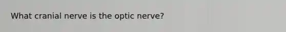 What cranial nerve is the optic nerve?