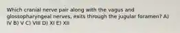 Which cranial nerve pair along with the vagus and glossopharyngeal nerves, exits through the jugular foramen? A) IV B) V C) VIII D) XI E) XII