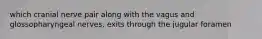 which cranial nerve pair along with the vagus and glossopharyngeal nerves, exits through the jugular foramen